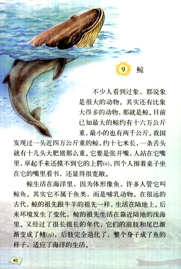 (人教版)五年级语文上册电子课本:鲸
